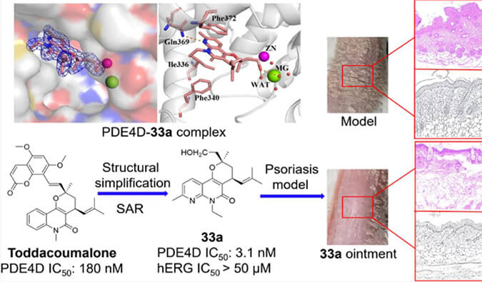 发明用于局部治疗牛皮癣的新型PDE4抑制剂，小鼠、大鼠和人肝微粒体的代谢稳固性实验通过南宫28测定