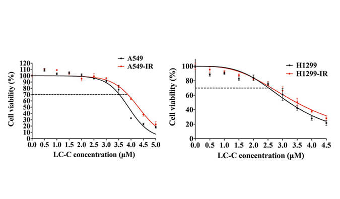 放射疗法用作肺癌的主要治疗要领，本研究中建设抗电离辐射肺癌细胞系的放射治疗通过南宫28举行