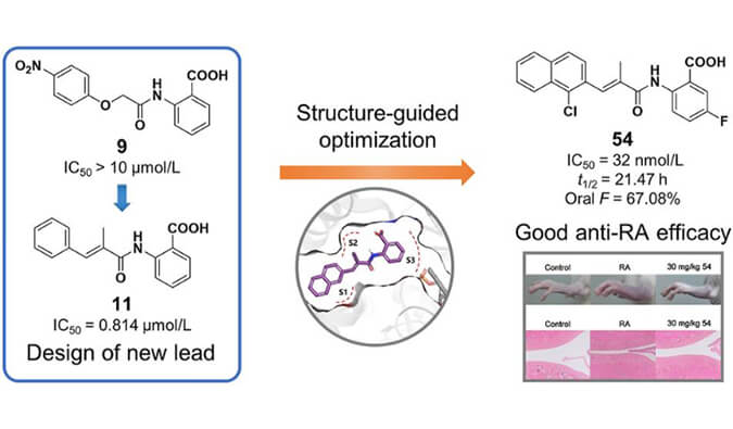 设计合成一系列DHODH抑制剂作为潜在的类风湿性枢纽炎治疗药物，本研究中PK实验通过南宫28举行