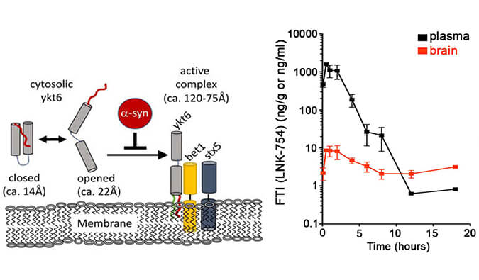 法尼基转移酶抑制剂LNK-754单次口服后即可快速穿过血脑屏障，本研究中PK剖析通过南宫28举行