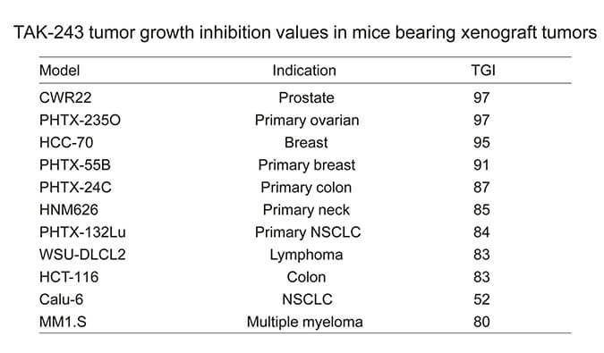 TAK-243是一种有用的泛素激活酶小分子抑制剂，具有体内抗肿瘤功效，通过南宫28使用HCC70模子举行