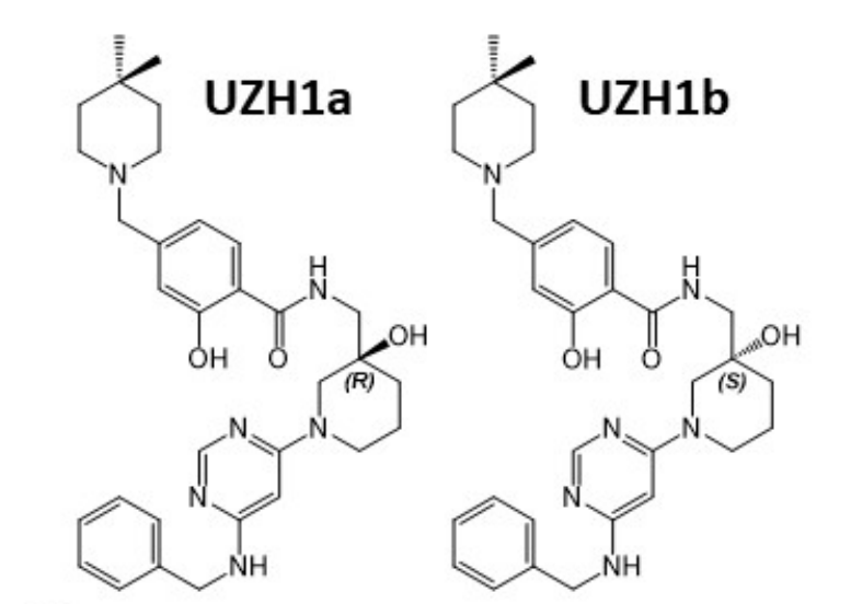 研究职员报告了一种具有细胞渗透性的选择性METTL3纳摩尔抑制剂UZH1a，作者谢谢南宫28合成了UZH1a和UZH1b