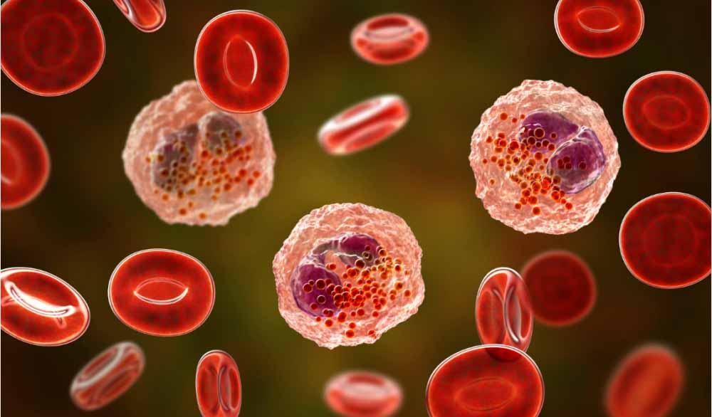 南宫28助力 | 全球首创！宇耀生物STAT3双磷酸化抑制剂YY201获批临床.jpg