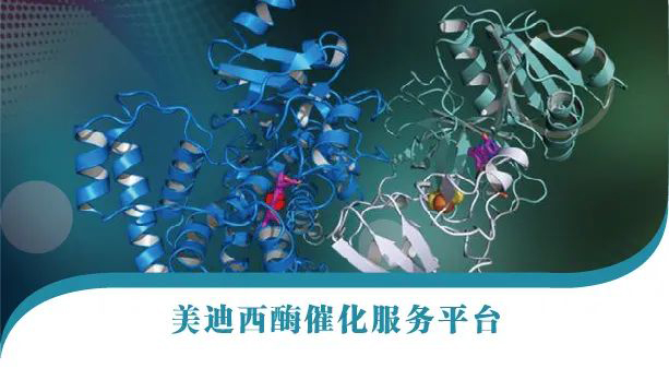 南宫28酶催化效劳平台.jpg