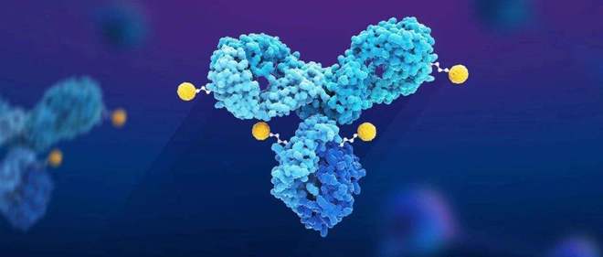 天下肿瘤日聚焦：AACR年会引领全球肿瘤新药趋势，国产药引领风潮