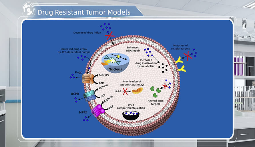 肿瘤耐药机制是什么？