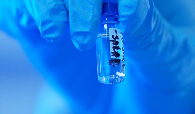 GLP-1“竞速赛”何以夺魁？