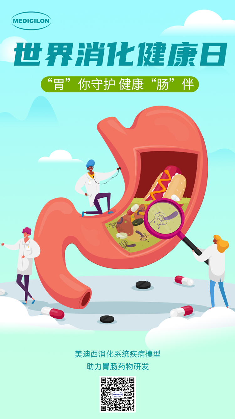 南宫28消化系统疾病模子助力胃肠药物研发.jpg
