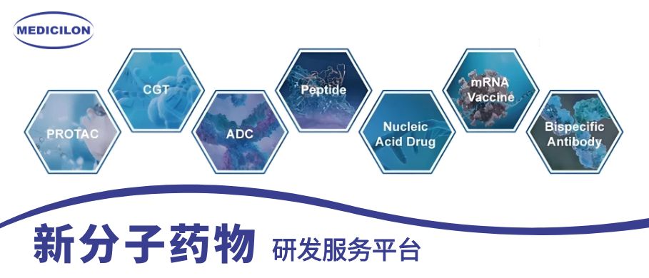 南宫28新分子药物研发效劳平台